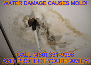 mold_removal_phoenix