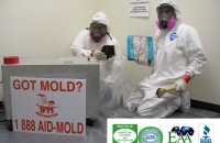 mold_remediation_gilbert_az