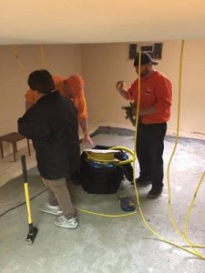 Water Damage Restoration Technicians Working