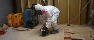 Professional Removing Moldy Floorboards
