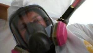 Mold Cleanup Technician On The Job
